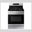 Freestanding Gas Convection Range - NX60A6511SS